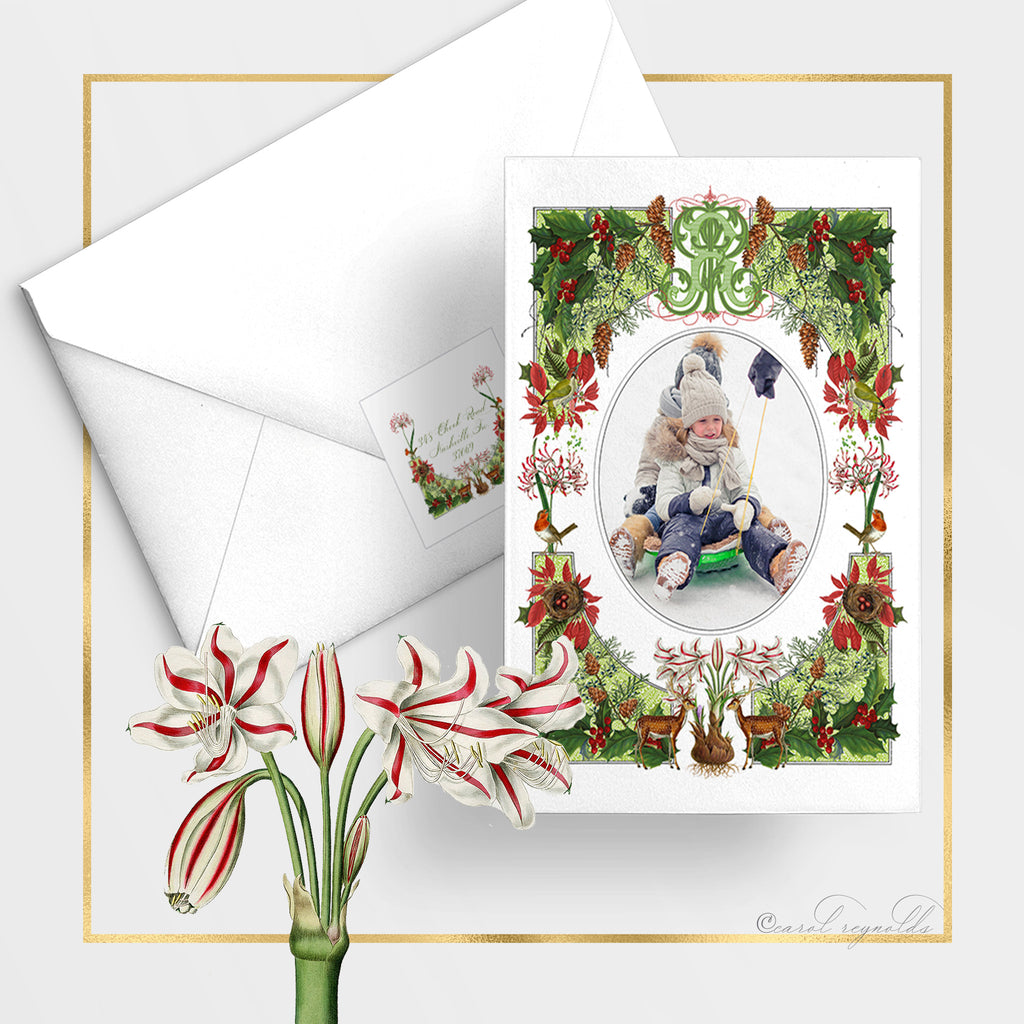 "Winter Botanical" Christmas Cards