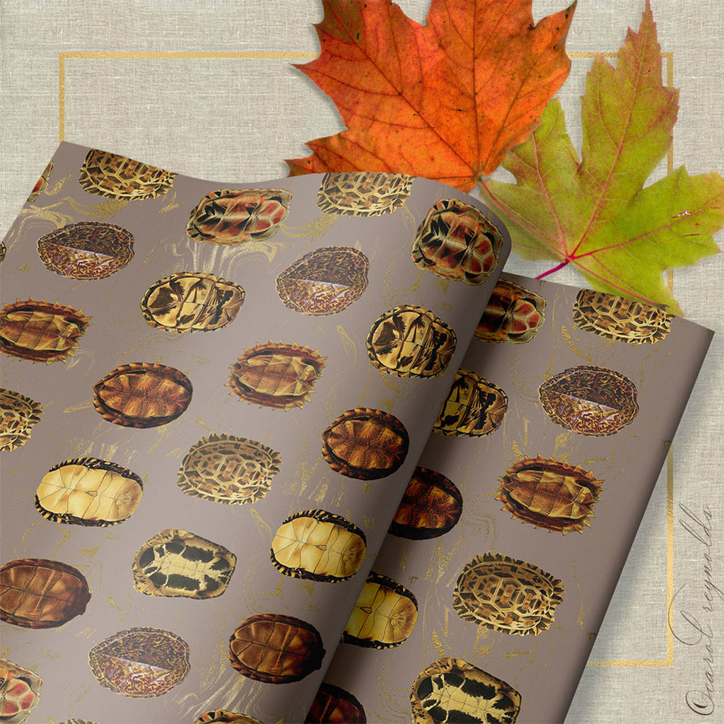 "La Tortue": Wrapping Paper in Taupe