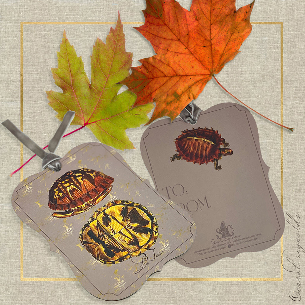 La Tortue" Gift Tags in Taupe